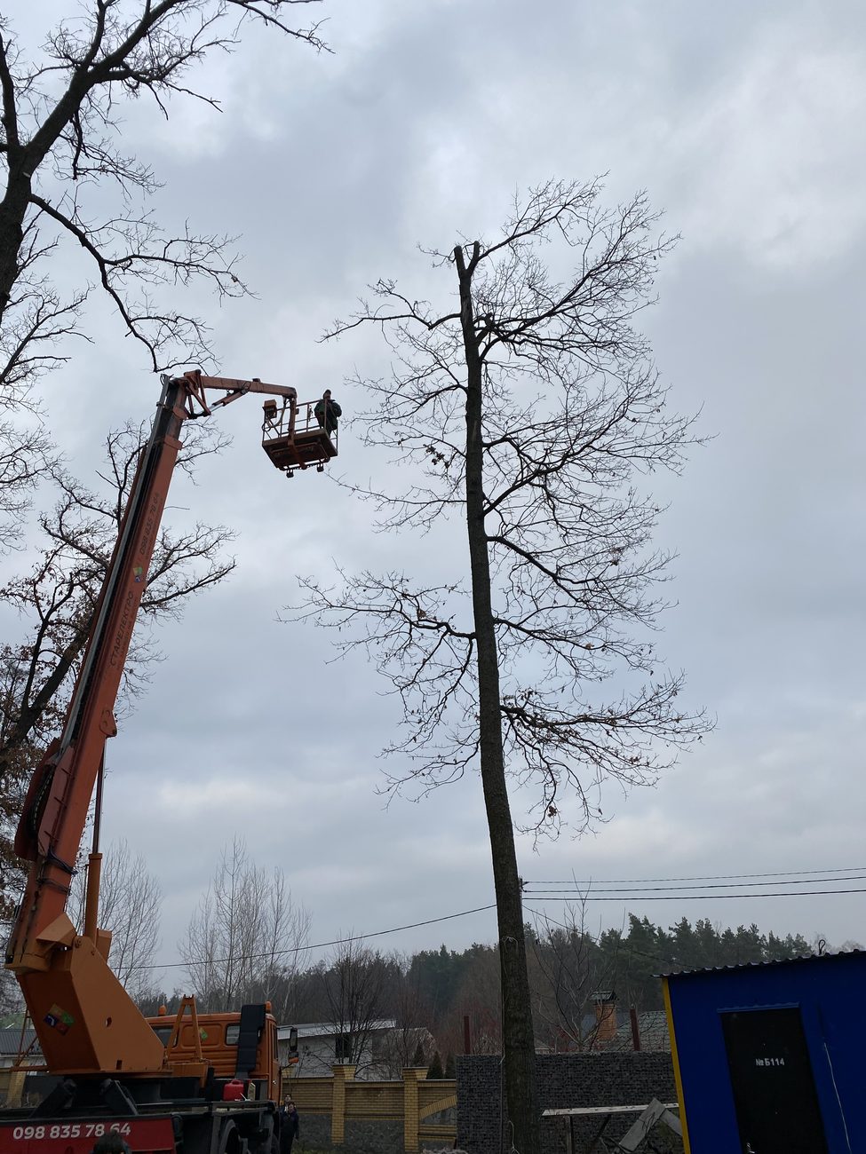 Аварійне видалення дерева автовежею